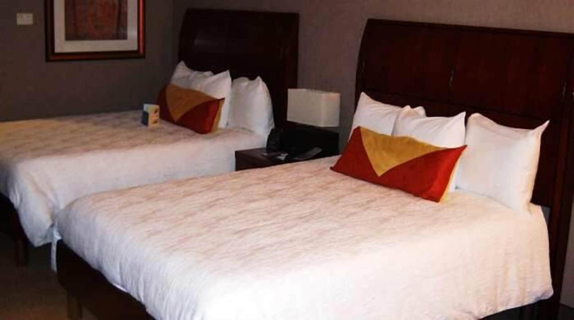 Hilton Garden Inn Indianapolis South/Greenwood Rum bild